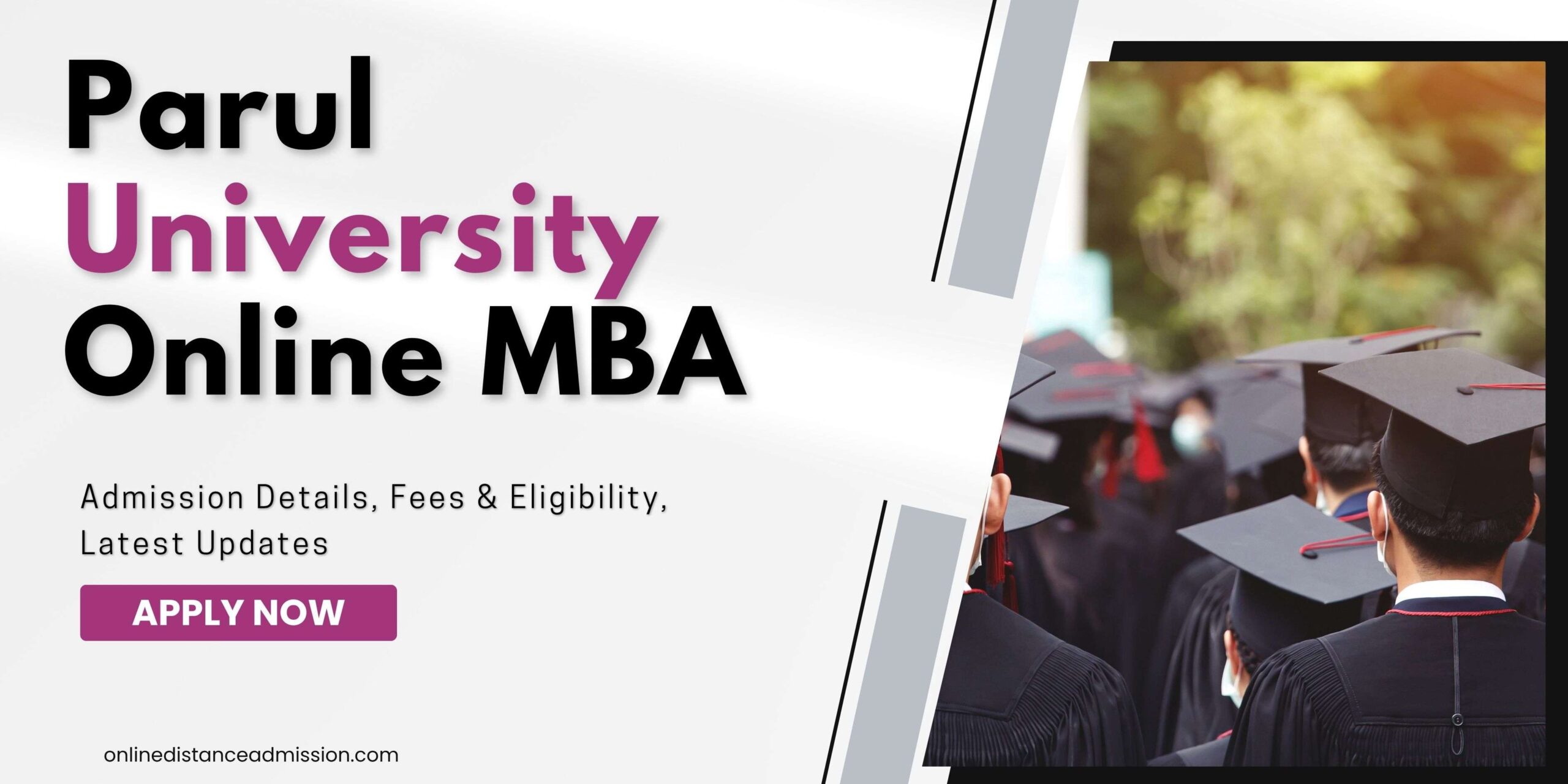Parul University Online MBA