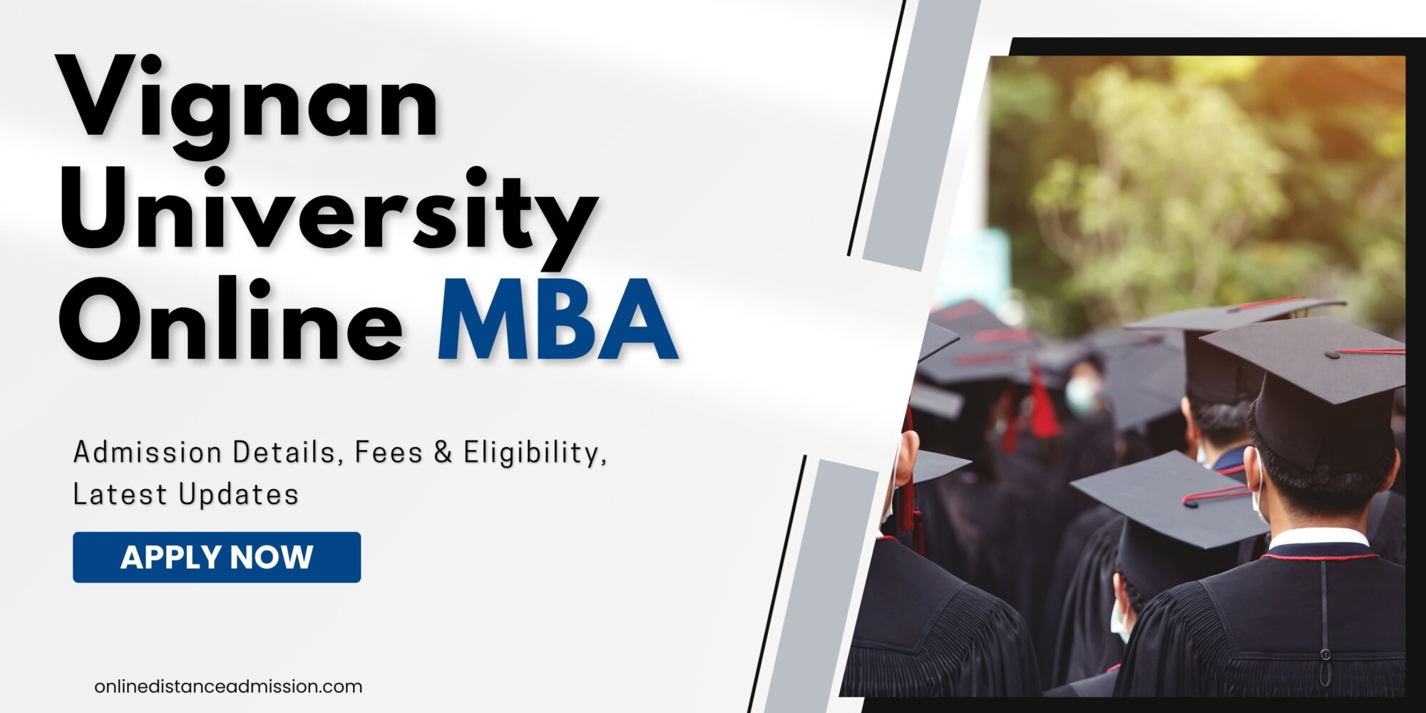 Vignan University Online MBA