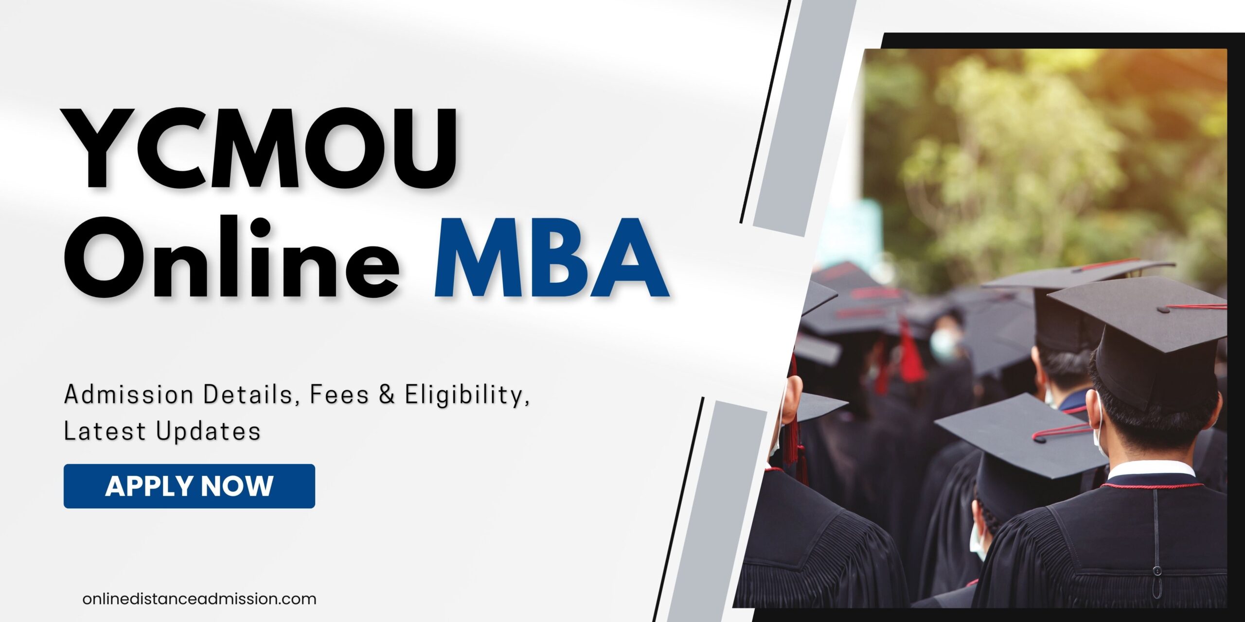 YCMOU Online MBA